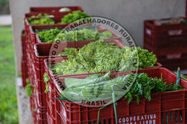 [Título n/d] : lote nº 002, pasta nº 001344, doc. nº 000007 [imagem] / Fotógrafo(a) : [autoria n/d].