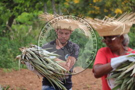 [Título n/d] : lote nº 002, pasta nº 000014, doc. nº 000208 [imagem] / Fotógrafo(a) : [autoria n/d].