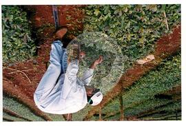 Assentamento "30 de outubro" do MST (Santa Catarina, [sem data]) [fotografia] / Fotógrafo(a) : Douglas Mansur. -- Ref.: BR-SPMST_MST-SN-CIN_AMP_000199-001480-ASS.