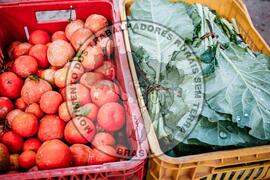 [Título n/d] : lote nº 002, pasta nº 001351, doc. nº 000487 [imagem] / Fotógrafo(a) : [autoria n/d].