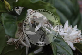 [Título n/d] : lote nº 002, pasta nº 001313, doc. nº 000051 [imagem] / Fotógrafo(a) : [autoria n/d].