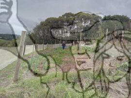 [Título n/d] : lote nº 002, pasta nº 000033, doc. nº 000028 [imagem] / Fotógrafo(a) : [autoria n/d].