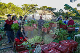 [Título n/d] : lote nº 002, pasta nº 001351, doc. nº 000026 [imagem] / Fotógrafo(a) : [autoria n/d].
