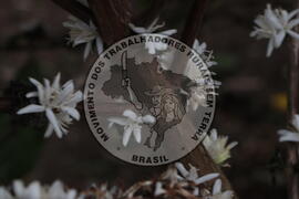 [Título n/d] : lote nº 002, pasta nº 001313, doc. nº 000048 [imagem] / Fotógrafo(a) : [autoria n/d].