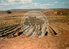 Ocupação da Fazenda Lisboa (São João do Piauí-PI, [sem data]) [fotografia] / Fotógrafo(a) : Elias. -- Ref.: BR-SPMST_MST-SN-CIN_AMP_001849-014086-OCU.