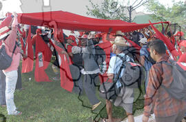 [Título n/d] : lote nº 002, pasta nº 000043, doc. nº 000161 [imagem] / Fotógrafo(a) : [autoria n/d].