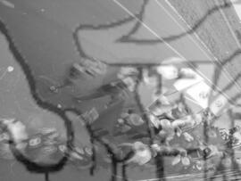 [Título n/d] : lote nº 002, pasta nº 000043, doc. nº 000152 [imagem] / Fotógrafo(a) : [autoria n/d].