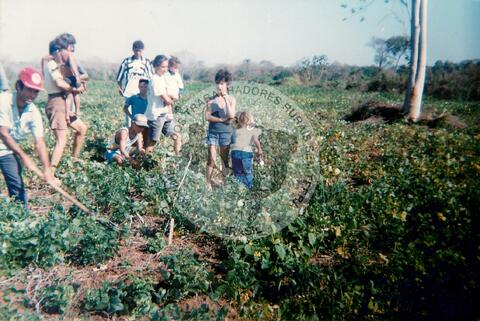 Original Document numérique not accessible