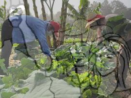 [Título n/d] : lote nº 002, pasta nº 001319, doc. nº 000138 [imagem] / Fotógrafo(a) : [autoria n/d].