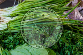 [Título n/d] : lote nº 002, pasta nº 001319, doc. nº 000107 [imagem] / Fotógrafo(a) : [autoria n/d].