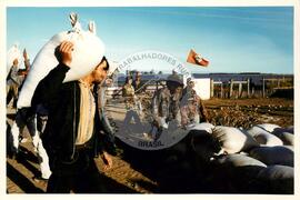 Cooperativa (Rio Grande do Sul, 1996) [fotografia] / Fotógrafo(a) : Arquivo MST. -- Ref.: BR-SPMST_MST-SN-CIN_AMP_000743-004869-CSS.