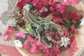 [Título n/d] : lote nº 002, pasta nº 001312, doc. nº 000179 [imagem] / Fotógrafo(a) : [autoria n/d].