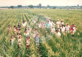 Produção Assentamento Reunidas (São Paulo (Estado), 09 mai. 1998) [fotografia] / Fotógrafo(a) : Arquivo MST. -- Ref.: BR-SPMST_MST-SN-CIN_AMP_001989-015217-PDU.