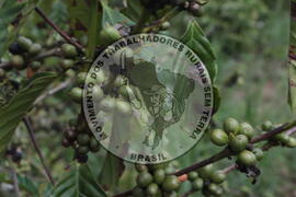 [Título n/d] : lote nº 002, pasta nº 001313, doc. nº 000025 [imagem] / Fotógrafo(a) : [autoria n/d].