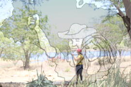 [Título n/d] : lote nº 002, pasta nº 001312, doc. nº 000236 [imagem] / Fotógrafo(a) : [autoria n/d].