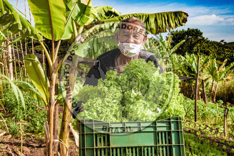 Original Objeto digital not accessible