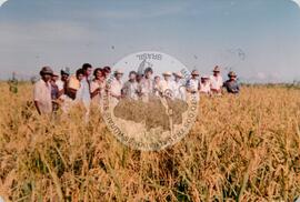 Acampamento Fazenda Pontal do Tigre (Querência do Norte-PR, 03 abr. 1989) [fotografia] / Fotógrafo(a) : Arquivo MST. -- Ref.: BR-SPMST_MST-SN-CIN_AMP_001984-015201-PDU.