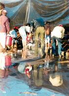 Congresso Nacional do MST, 4o (Distrito Federal (Brasil), 07 ago. 2000) [fotografia] / Fotógrafo(a) : Douglas Mansur ; Paula Reis ; João Zinclar. -- Ref.: BR-SPMST_MST-SN-CIN_AMP_000714-004593-CGR.