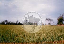 Viagem de Joelson, Ênio e João Pedro (Ásia, 1996) [fotografia] / Fotógrafo(a) : Lito Ocampo. -- Ref.: BR-SPMST_MST-SN-CIN_AMP_001137-009456-RIT.