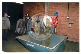 Produção (Paraná, [sem data]) [fotografia] / Fotógrafo(a) : Chico Tebaldi ; Douglas Mansur ; [sem autoria]. -- Ref.: BR-SPMST_MST-SN-CIN_AMP_001981-015182-PDU.