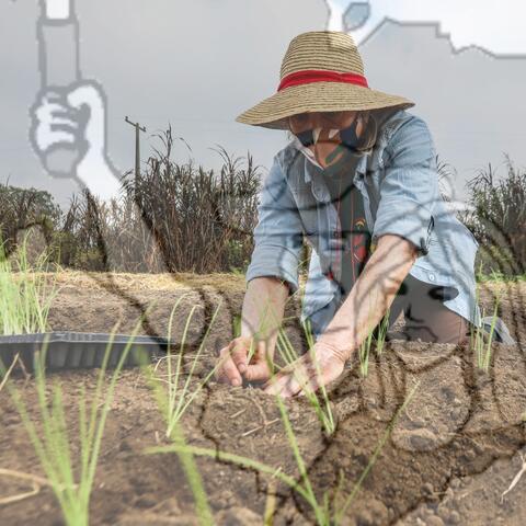 Original Objeto digital not accessible