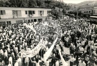 Original Document numérique not accessible