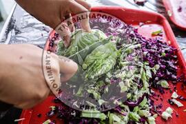 [Título n/d] : lote nº 002, pasta nº 001340, doc. nº 000020 [imagem] / Fotógrafo(a) : [autoria n/d].