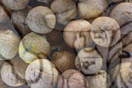 [Título n/d] : lote nº 002, pasta nº 001320, doc. nº 000025 [imagem] / Fotógrafo(a) : [autoria n/d].