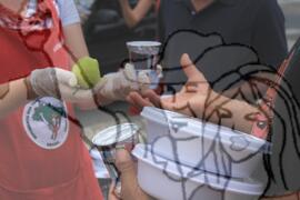 [Título n/d] : lote nº 002, pasta nº 001351, doc. nº 000053 [imagem] / Fotógrafo(a) : [autoria n/d].