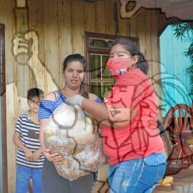 [Título n/d] : lote nº 002, pasta nº 001351, doc. nº 000468 [imagem] / Fotógrafo(a) : [autoria n/d].