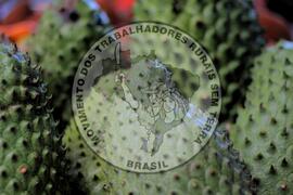 [Título n/d] : lote nº 002, pasta nº 001319, doc. nº 000054 [imagem] / Fotógrafo(a) : [autoria n/d].