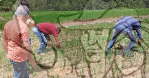 Original Objeto digital not accessible