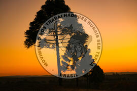 [Título n/d] : lote nº 002, pasta nº 001344, doc. nº 000053 [imagem] / Fotógrafo(a) : [autoria n/d].