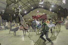 [Título n/d] : lote nº 002, pasta nº 001311, doc. nº 001255 [imagem] / Fotógrafo(a) : [autoria n/d].