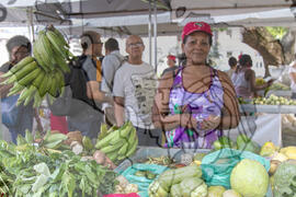 [Título n/d] : lote nº 002, pasta nº 001321, doc. nº 000012 [imagem] / Fotógrafo(a) : [autoria n/d].