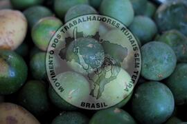 [Título n/d] : lote nº 002, pasta nº 001319, doc. nº 000045 [imagem] / Fotógrafo(a) : [autoria n/d].