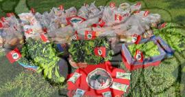 [Título n/d] : lote nº 002, pasta nº 001351, doc. nº 000286 [imagem] / Fotógrafo(a) : [autoria n/d].