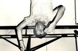 Pedro Tonelli (Brasil, [sem data]) [fotografia] / Fotógrafo(a) : Arquivo MST ; Regina Vilela. -- Ref.: BR-SPMST_MST-SN-CIN_AMP_001677-012624-PER.