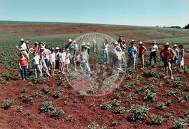 Assentamento "Fazenda Annoni" do MST (Júlio de Castilho-RS, Sarandi-RS, 1987 a 1993) [fotografia] / Fotógrafo(a) : Antonio C. Argemi ; Arquivo MST. -- Ref.: BR-SPMST_MST-SN-CIN_AMP_000175-001257-ASS.