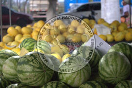 [Título n/d] : lote nº 002, pasta nº 000016, doc. nº 000043 [imagem] / Fotógrafo(a) : [autoria n/d].