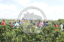 [Título n/d] : lote nº 002, pasta nº 001313, doc. nº 000033 [imagem] / Fotógrafo(a) : [autoria n/d].