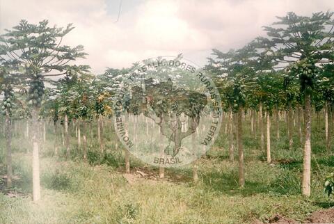 Original Digitaal object not accessible