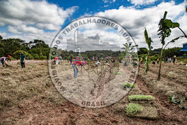 [Título n/d] : lote nº 002, pasta nº 001317, doc. nº 000078 [imagem] / Fotógrafo(a) : [autoria n/d].