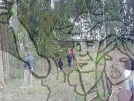 [Título n/d] : lote nº 002, pasta nº 000033, doc. nº 000043 [imagem] / Fotógrafo(a) : [autoria n/d].