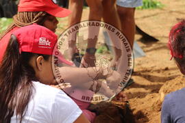 [Título n/d] : lote nº 002, pasta nº 000014, doc. nº 000236 [imagem] / Fotógrafo(a) : [autoria n/d].
