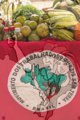 [Título n/d] : lote nº 002, pasta nº 001319, doc. nº 000092 [imagem] / Fotógrafo(a) : [autoria n/d].