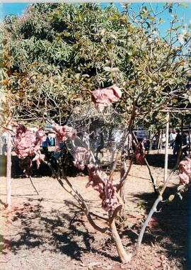 Congresso Nacional do MST, 4o (Distrito Federal (Brasil), 07 ago. 2000) [fotografia] / Fotógrafo(a) : Douglas Mansur ; Paula Reis ; João Zinclar. -- Ref.: BR-SPMST_MST-SN-CIN_AMP_000714-004616-CGR.
