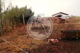4 anos de COPAJOTA (Promissão-SP, 11 mai. 1996) [fotografia] / Fotógrafo(a) : Mário de Freitas. -- Ref.: BR-SPMST_MST-SN-CIN_AMP_000754-004943-CSS.