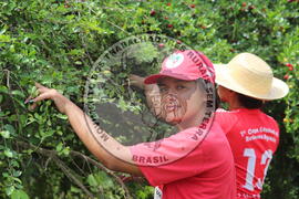 [Título n/d] : lote nº 002, pasta nº 000014, doc. nº 000263 [imagem] / Fotógrafo(a) : [autoria n/d].