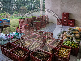 [Título n/d] : lote nº 002, pasta nº 001351, doc. nº 000013 [imagem] / Fotógrafo(a) : [autoria n/d].